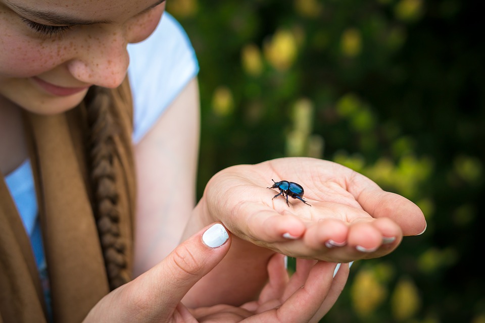 Waldwochen für Erzieherinnen und Erzieher der BBS1 vom 23.05. - 27.05.2016