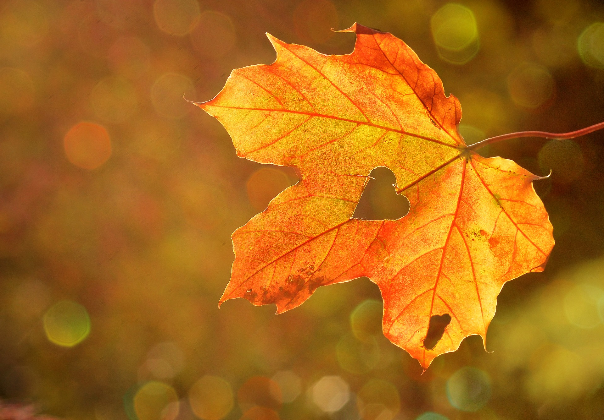 Öffnungszeiten Sekretariat Herbstferien