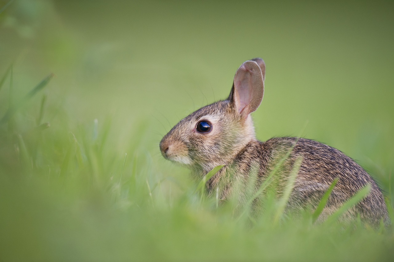 Ostern