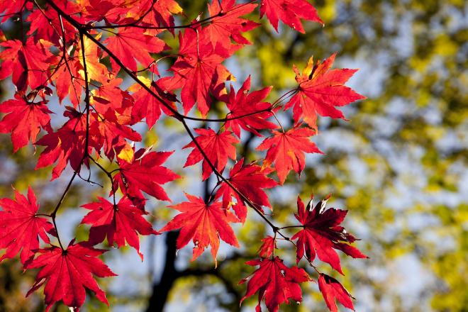 Herbstferien