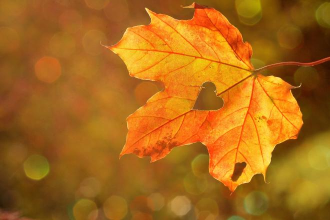 Öffnungszeiten Sekretariat Herbstferien