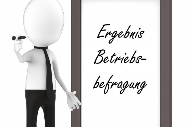 Ergebnis Betriebsbefragung